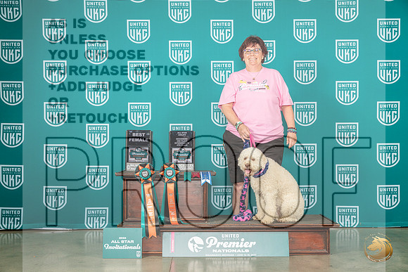 Lagotto Romognolo #117 Thurs Sat MJP_4977_Premier2023_HR3