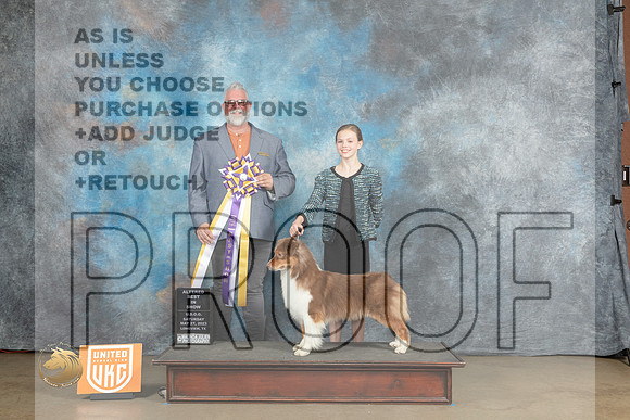 Australian Shepherd #152 Sat Judge Matthew ProctorMJP_2472_UKCLNVWMAY2023_HR3