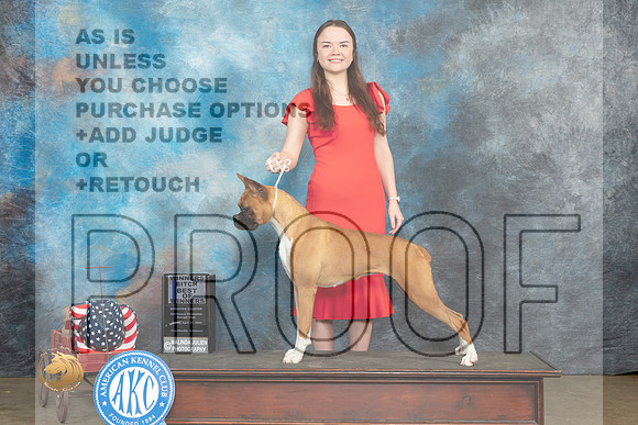 Boxer #8 Fri BOW Judge Jacqueline L Stacy_MJ_5859_ARK2023_HR3