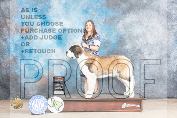 St Bernard #8 Sun BOS Judge Terry BerriosMJP_1518_Abilene_2023_HR3