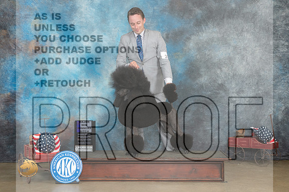 Poodle Std #20 Thur WB Judge Terry Stacy_MJ_5537_ARK2023_HR3