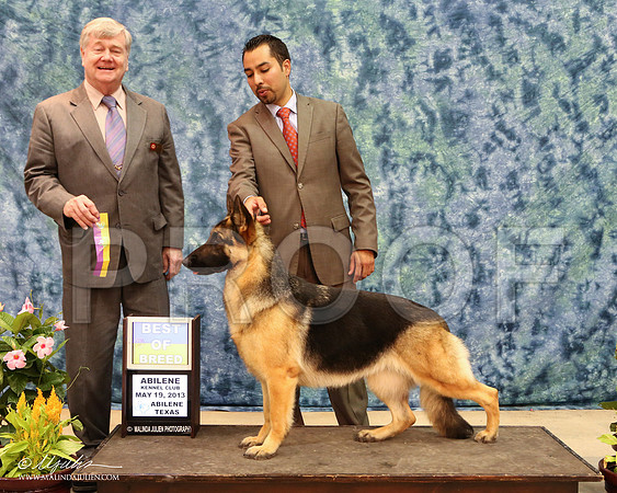 GSD-7348-AbiMay13HR