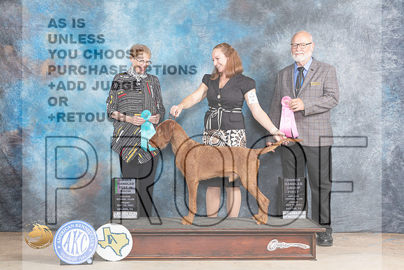 Wirehaired Vizsla #5 Fri OHBIS Judge Edweena (Teddy) Mc DowellMJP_0609_Abilene_2023_HR3