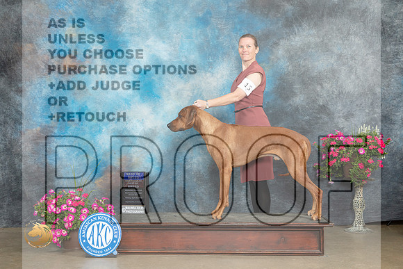 Rhodesian Ridgeback #15 BOBOHBOB Judge Linn Klingel Brown_MJ_7075_ARK2023_HR3