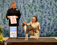 Italian Greyhound #5 Fri Owner Handler G1 Amy & Kayla Wise Judge Letitia Bett HR ABilene May 2013