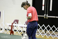 Obedience Beginner Nov B Sat #462 Jane Rivers & Sharon McCully Bossier City Jun 2013