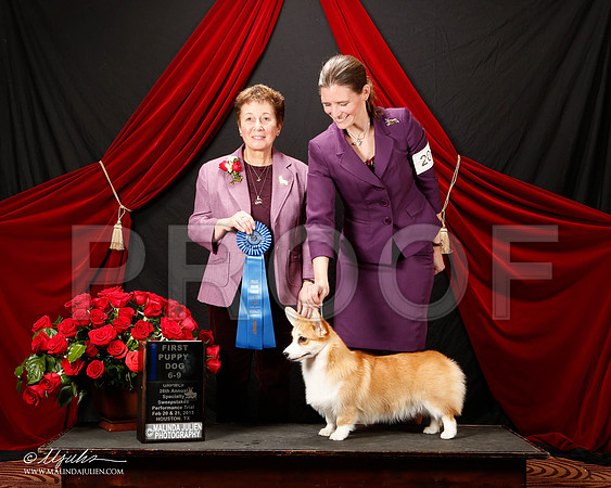 _ST_3456-2-HstnCorgiFeb2015-HR3