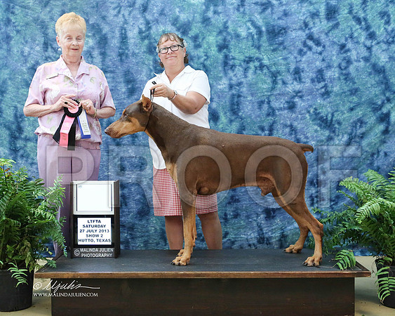 Dobe-9323-HuttoJul13