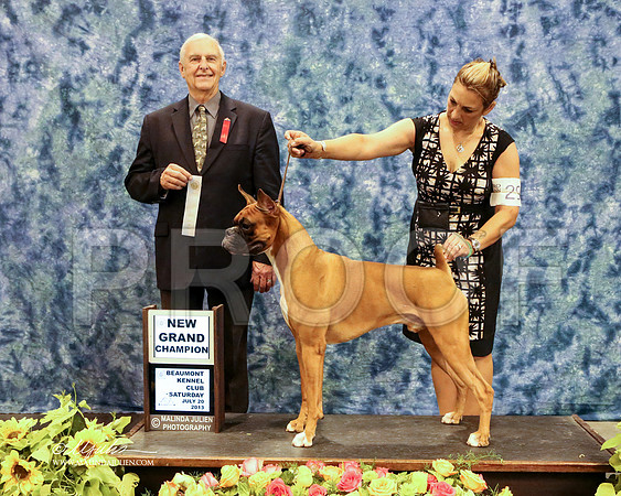 boxer-5740-HR HstnJul13
