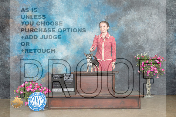 Chihuahua Smooth #J20 BJr Judge J Stacy G4 Judge Gary Andersen_MJ_6850_ARK2023_HR3