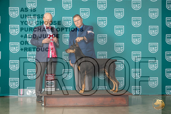 Doberman Pinscher Sat #623 AG2 Judge Ron HornMJP_5225_Premier2023_HR3