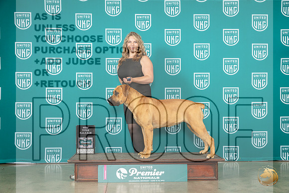 Boerbel #291 Fri BOB Judge Patricia TillMJP_5085_Premier2023_HR3