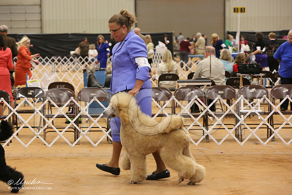 PoodStd-8723-Tex2013 HR3