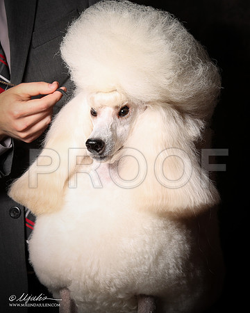 PoodMin-9460-Tex2013 HR3