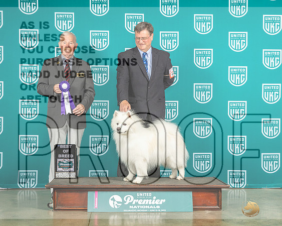 American Eskimo Dog #662 Sun BOB Judge David Kittredge-MJP_5802e-Premier2023-HR3