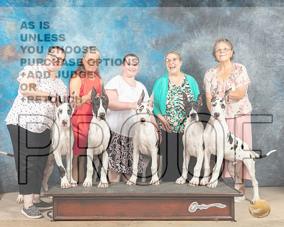 Great Dane Family Fri-MMJ_2912-Addison2022-HR3