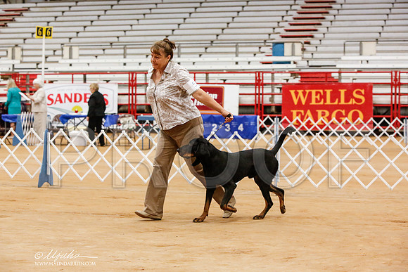 _JN_6270-TxArJun2014-HR3