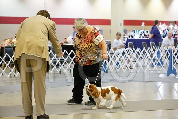 _JJ_1027-AmarilloSept2014-HR3