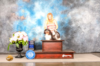 Havanese #? SUN WB Judge Barbara Alderman