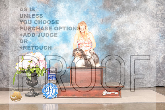Havanese #? SUN WB Judge Barbara AldermanHavanese #? SUN WB Judge Barbara Alderman_MJ_8164_Houston_2022_HR3_Houston_2022_HR3