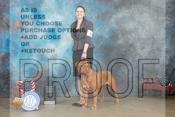 Dogue de Bordeaux #14 Fri WBBOWBOB CH Judge Terry Stacy_MJ_5912_ARK2023_HR3