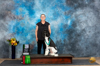 Poodle Std #23 Sun NTRA