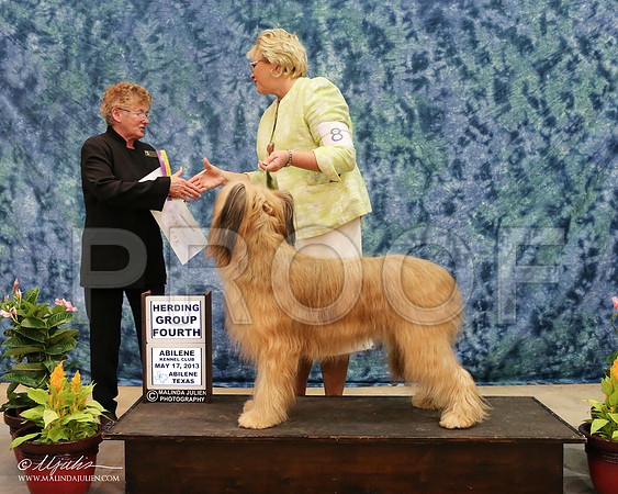 briard-3441-AbiMay13HR