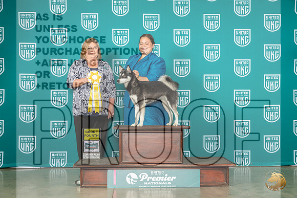 Alaskan Klee Kai #177 Fri G4 Judge Tracy kallasMJP_4750_Premier2023_HR3