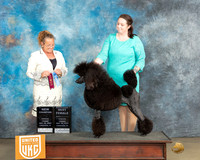 Emily Stein UKC Longview May 2023