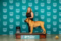 Boerbel #291 Fri BOB Judge Patricia Till