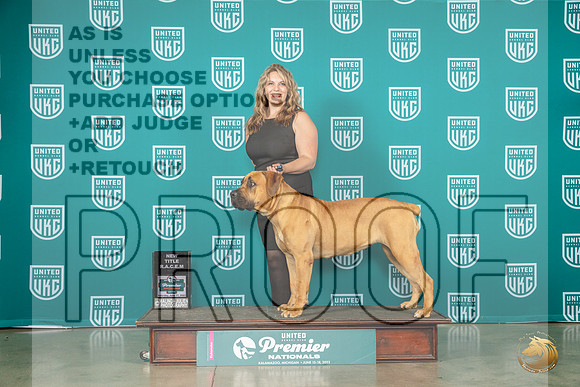 Boerbel #291 Fri BOB Judge Patricia TillMJP_5081_Premier2023_HR3