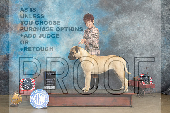 Bullmastiff #10 Thur WDCH Judge Jacqueline L Stacy_MJ_5415_ARK2023_HR3