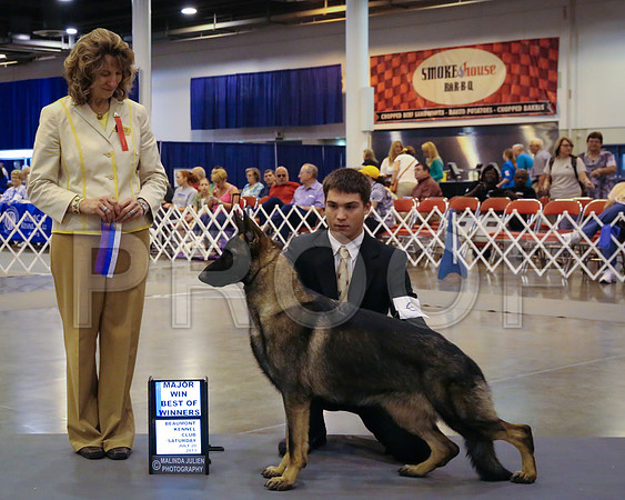 GSD-4949-HstnJ13HR