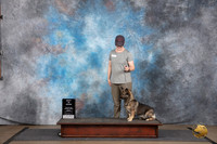 Swedish Vallhund #623 Fri BIS No Judge
