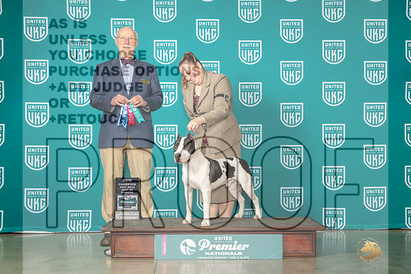American Pit Bull Terrier #1344 Fri CHBOW Judge Ron Horn r-MJP_4465e-Premier2023-HR3