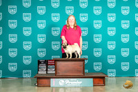 Pug #784 Sat G2 Judge Renee Strong