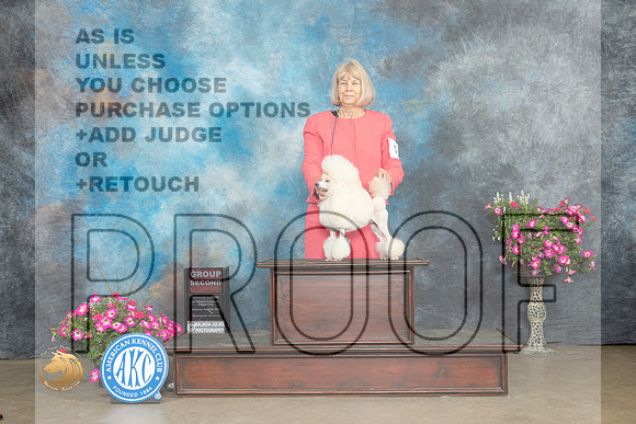 Poodle Toy #17 Sat G2 Judge Gary Andersen_MJ_6853_ARK2023_HR3