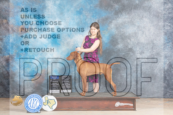 Vizsla #5 Fri BOW Judge Bev Andersen OHG2 Judge Gary AndersenMJP_0521_Abilene_2023_HR3