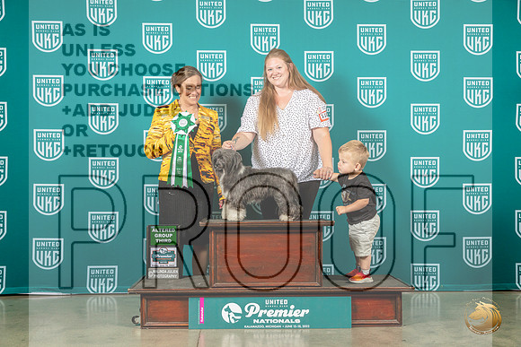 Chinese Crested #1102 Fri AG3 Judge Pat TillMJP_4815_Premier2023_HR3