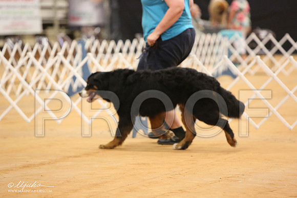 Bern-0001-Tex2013 HR3