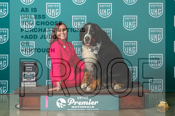 Bernese Mountain Dog #866 Sat NTDASHMJP_5558_Premier2023_HR3