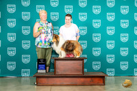 Shetland Sheepdog #32 Wed BISS Judge Karen Cattin