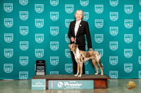 LCLD #1357 AOE Judge David Kittredge