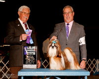 Shih Tzu #8 Sat NC WB Oliver Deborah Agent Dan Haley Judge Charles Trotter