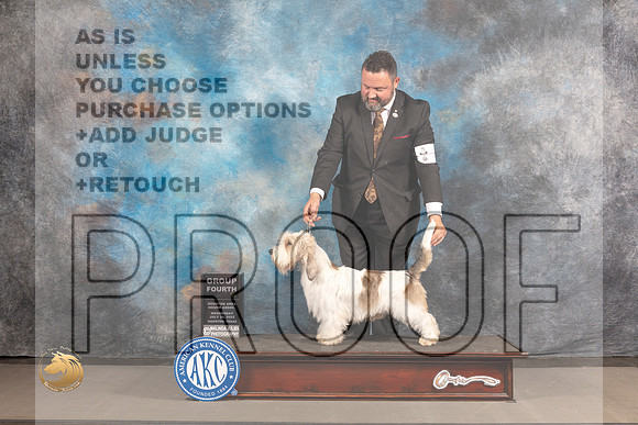 PBGV #11 Wed G4 Judge Joe Walton_MJ_3084_Houston_2022_HR3