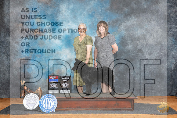 Mudi #9 BOWBOSM Judge Karen Hynek__JP_6996_MARSHALL_2024_HR3