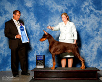 Doberman Pinscher #15 Fri G1 Mitchell Carolyn austin Jody Huston Gould Colleen Judge Ricardo Forastieri Gonzalez
