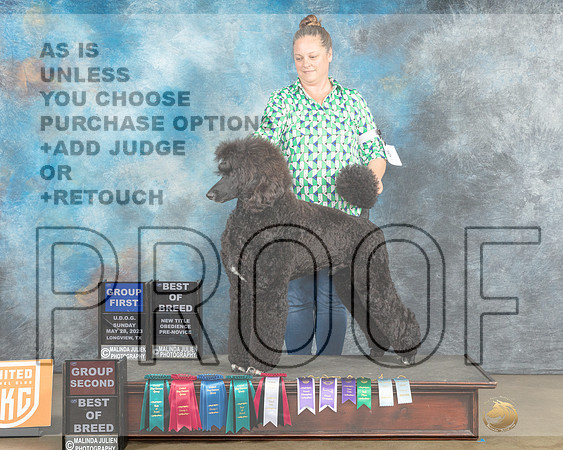 Poodle Std MC NT no judge-MJP_2663_UKCLNGVWMAY 2023-HR3