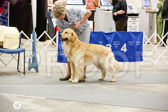 _JN_1241-AblnMay2014-web