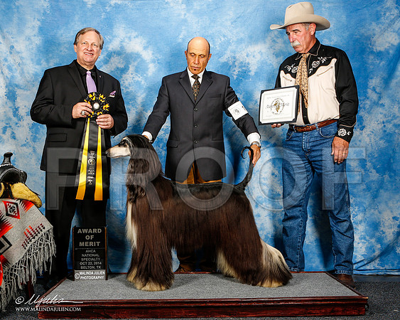 _ST_4578-2-AfgBeltonOct2014-HR3